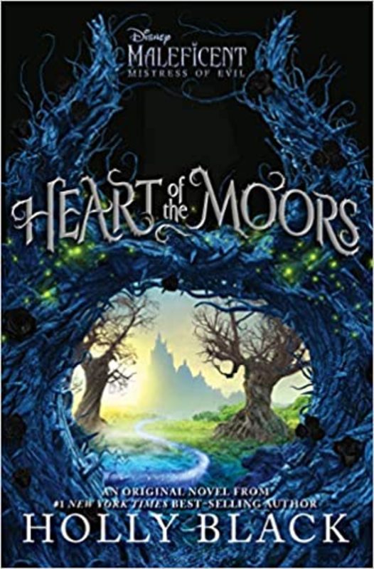 Holly Black book cover