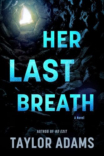 Taylor Adams book cover