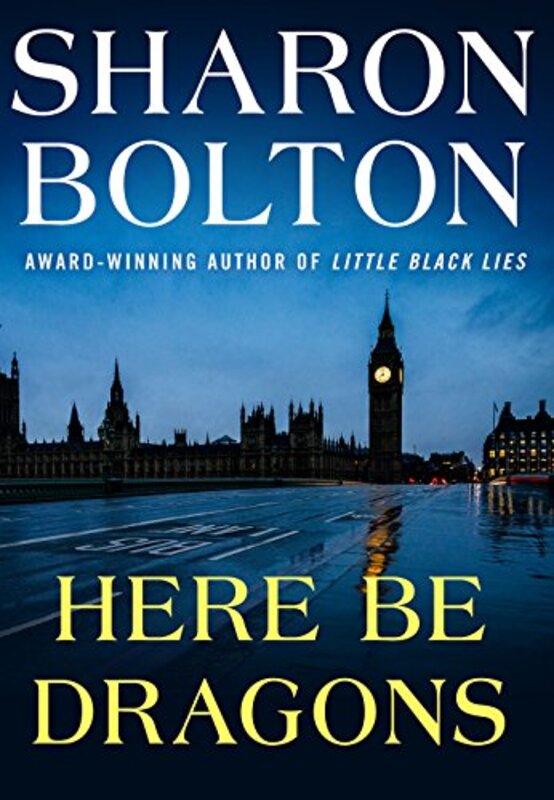 Lacey Flint book cover