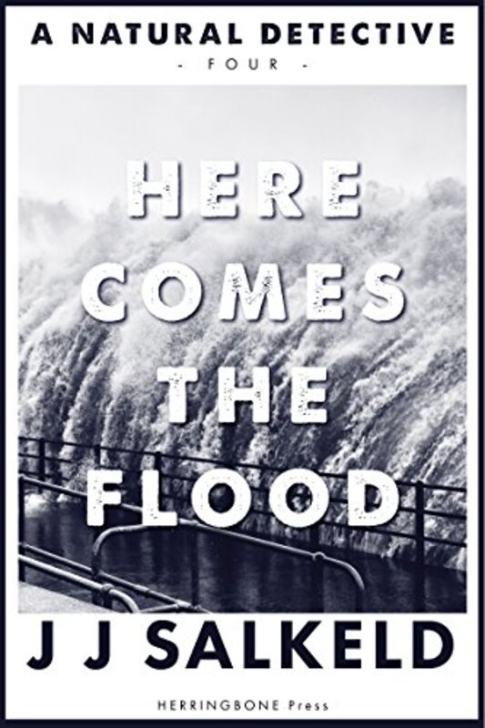 Book cover for "Here Comes the Flood" by J J Salkeld