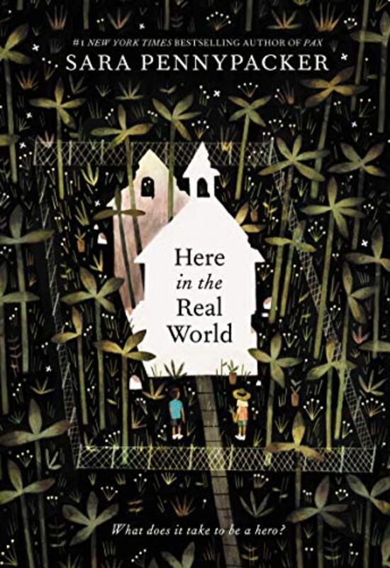 Sara Pennypacker book cover