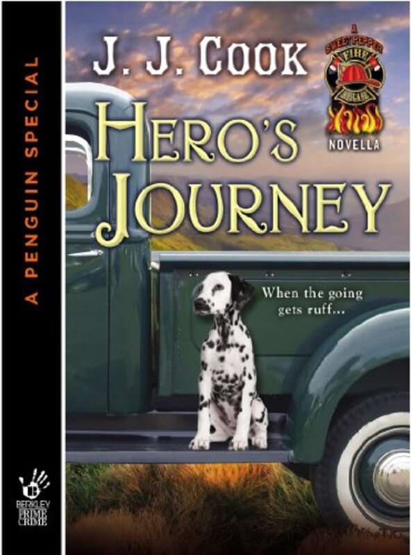 Book cover for "Hero's Journey" by JJ Cook