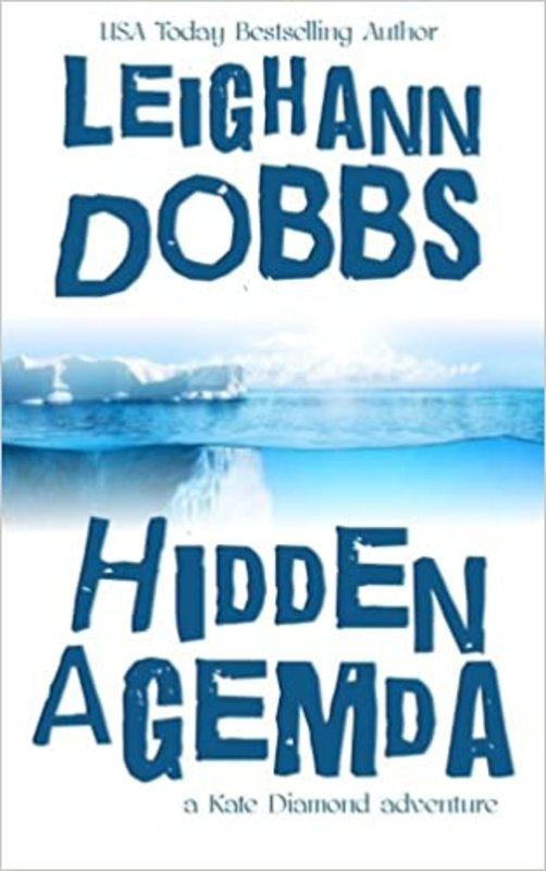 Book cover for "Hidden Agemda" by Leighann Dobbs