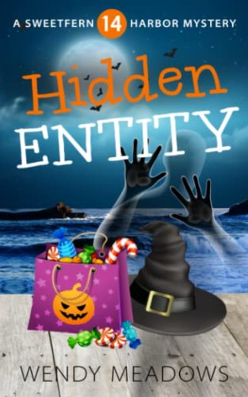 Book cover for "Hidden Entity" by Wendy Meadows