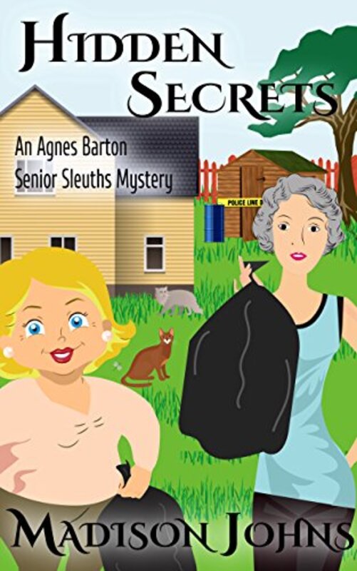 Book cover for "Hidden Secrets" by Madison Johns