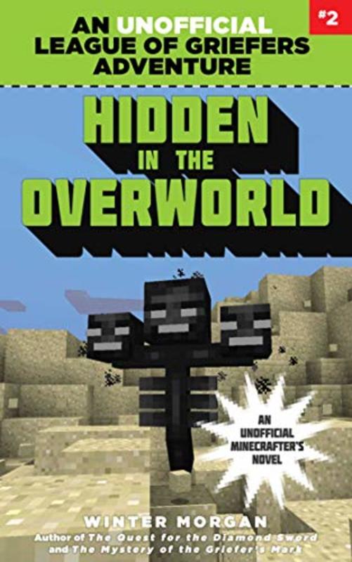 Book cover for "Hidden in the Overworld" by Winter Morgan
