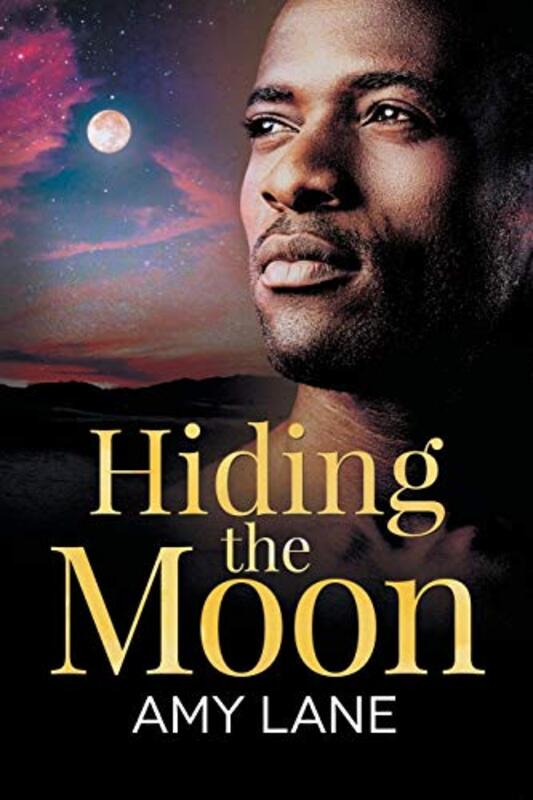 Book cover for "Hiding the Moon" by Amy Lane
