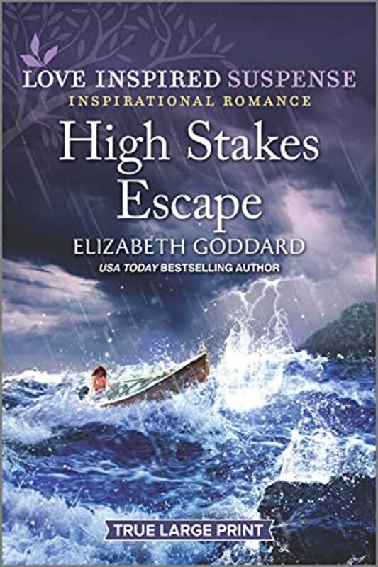 Book cover for "High Stakes Escape" by Elizabeth Goddard