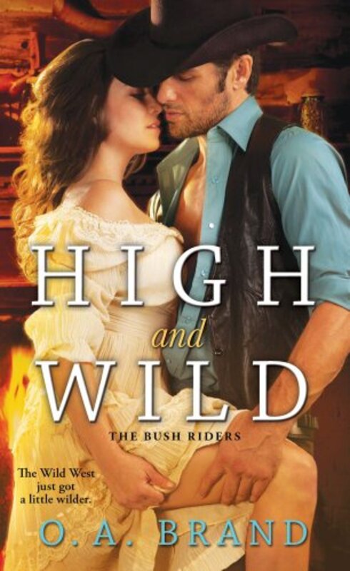 Book cover for "High and Wild" by Peter Brandvold