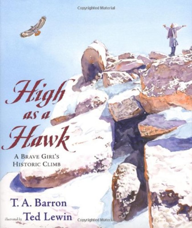 Book cover for "High as a Hawk" by TA Barron