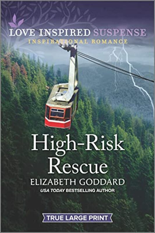 Book cover for "High-Risk Rescue" by Elizabeth Goddard
