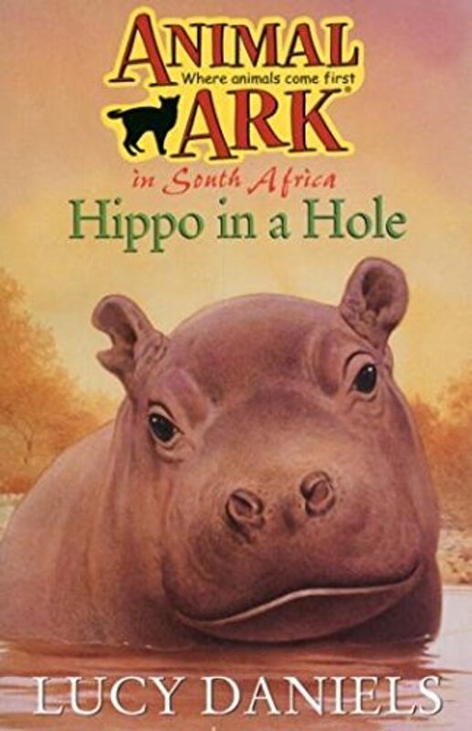 Book cover for "Hippo in a Hole" by Lucy Daniels
