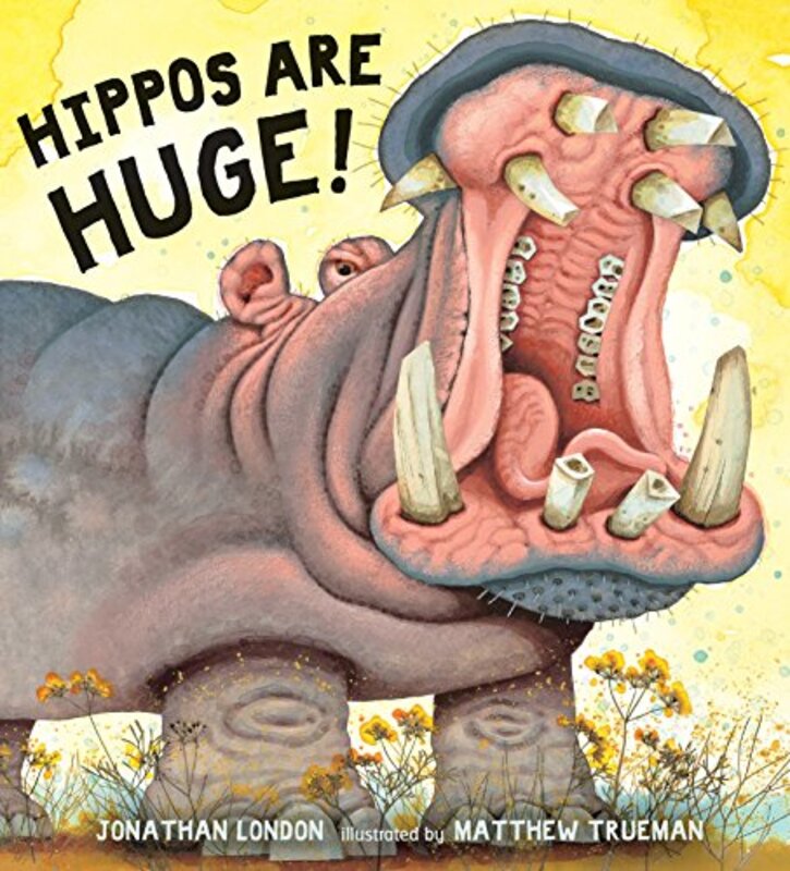 Book cover for "Hippos Are Huge!" by Jonathan London