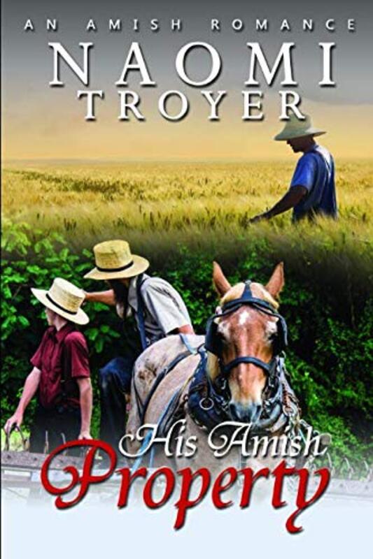 Book cover for "His Amish Property" by Naomi Troyer