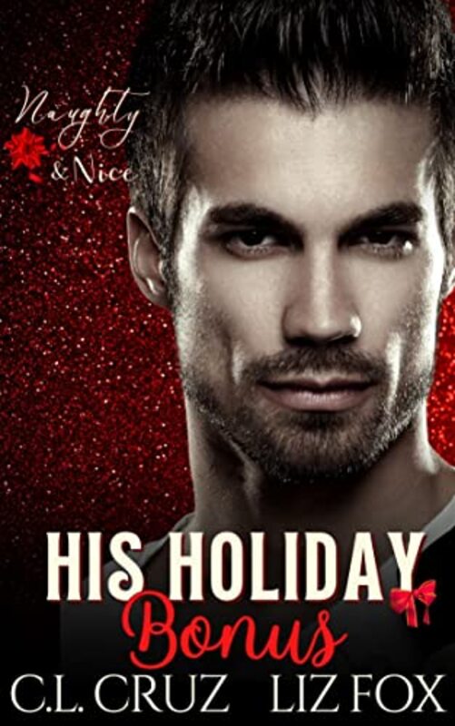 Book cover for "His Holiday Bonus" by Liz Fox