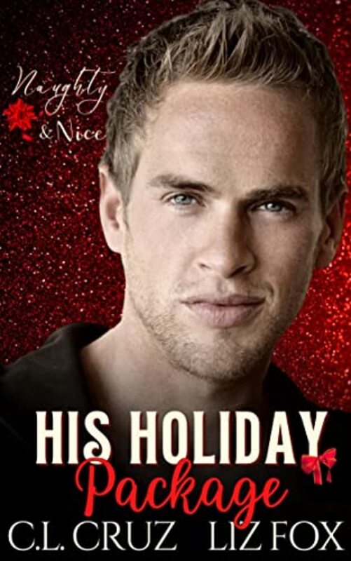Book cover for "His Holiday Package" by Liz Fox