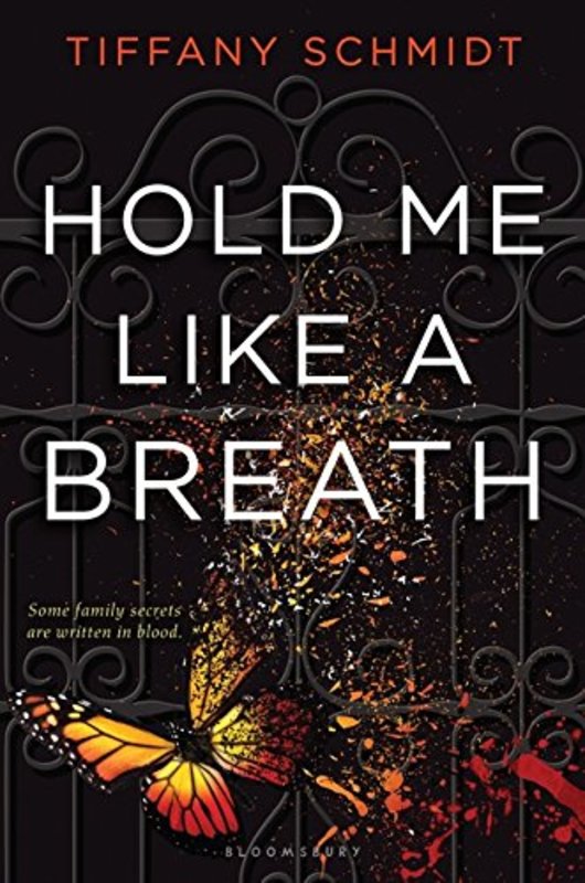 Book cover for "Hold Me Like a Breath" by Tiffany Schmidt