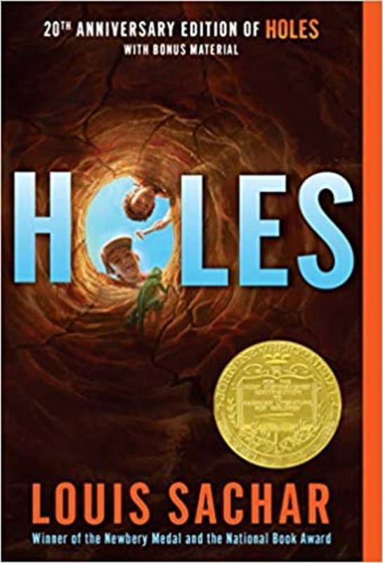 Holes summary cover