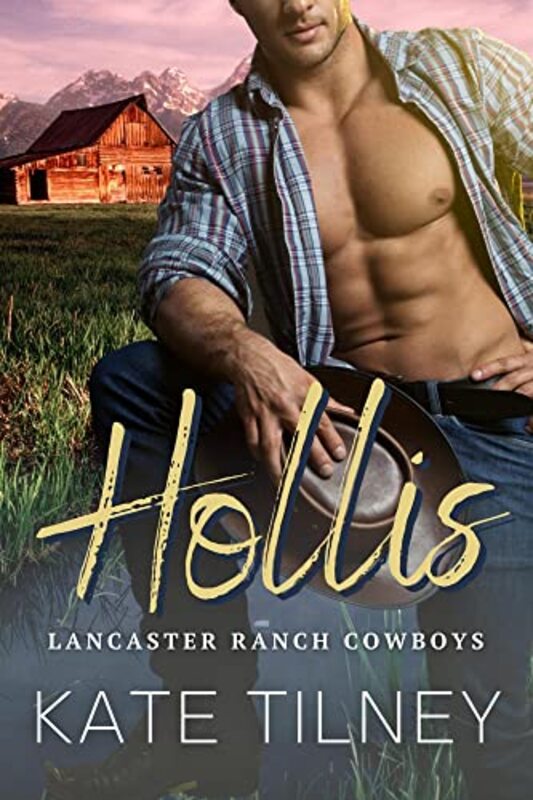 Book cover for "Hollis" by Kate Tilney