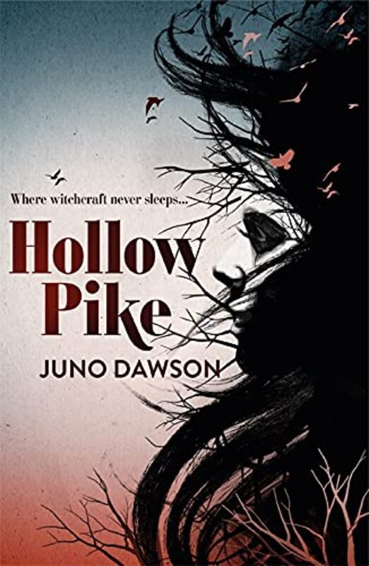 Book cover for "Hollow Pike" by Juno Dawson