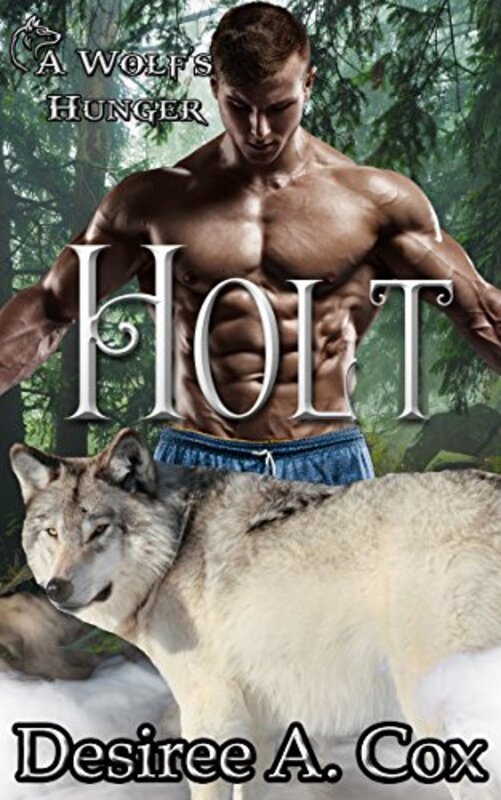 Book cover for "Holt" by AK Michaels