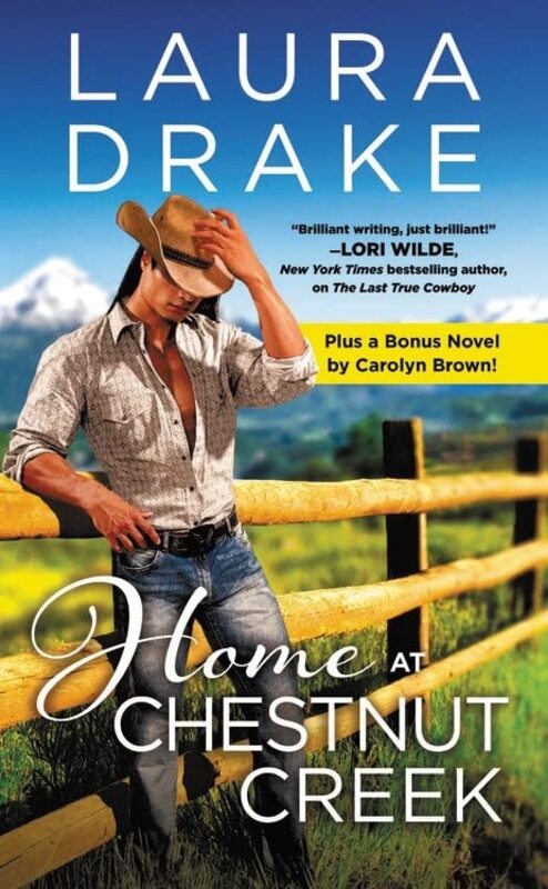 Laura Drake book cover