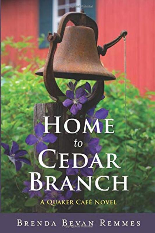 Brenda Bevan Remmes book cover