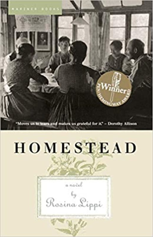 Book cover for "Homestead" by Sara Donati