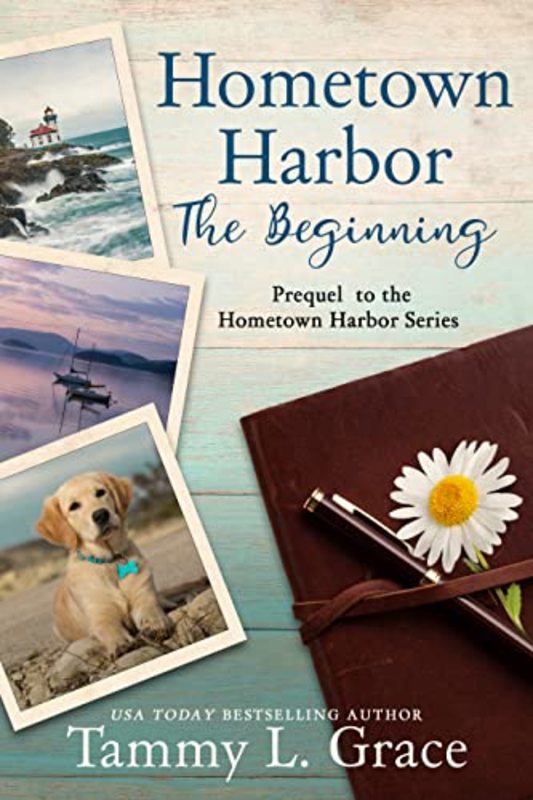 Book cover for "Hometown Harbor: The Beginning" by Tammy L Grace