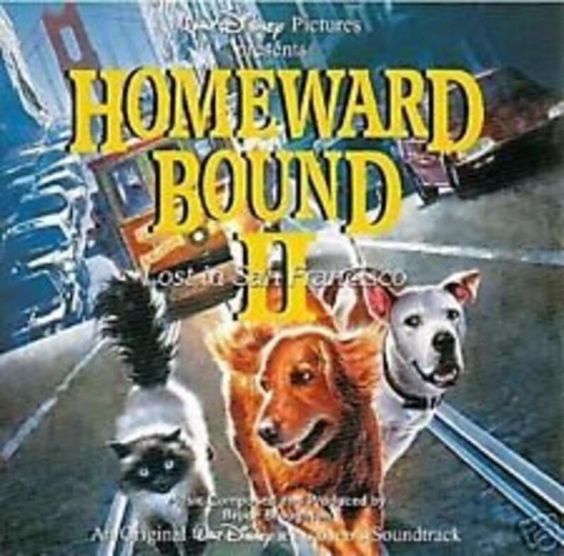 Book cover for "Homeward Bound II: Lost in San Francisco" by Nancy Krulik