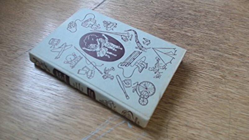 Honey Bunch book cover