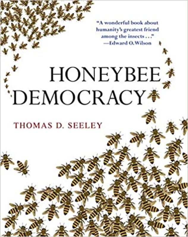 Book cover for "Honeybee Democracy" by Thomas D. Seeley