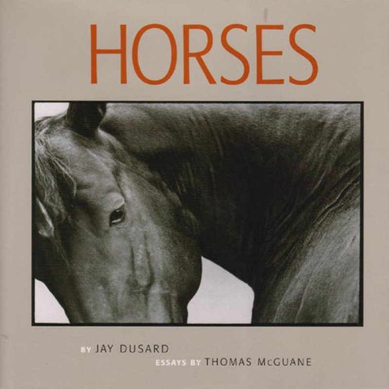 Thomas McGuane book cover