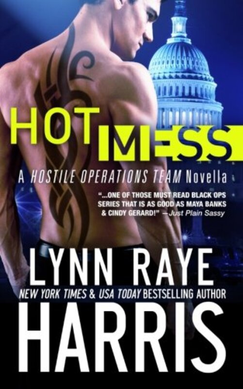 Book cover for "Hot Mess" by Lynn Raye Harris