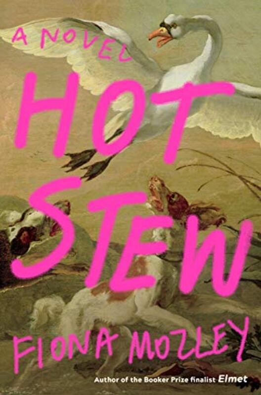 Book cover for "Hot Stew" by Fiona Mozley