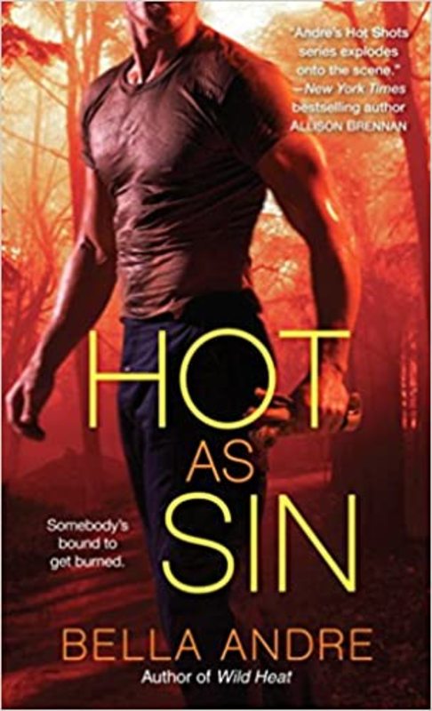 Hot Shots Men of Fire book cover