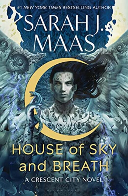 Sarah J Maas book cover