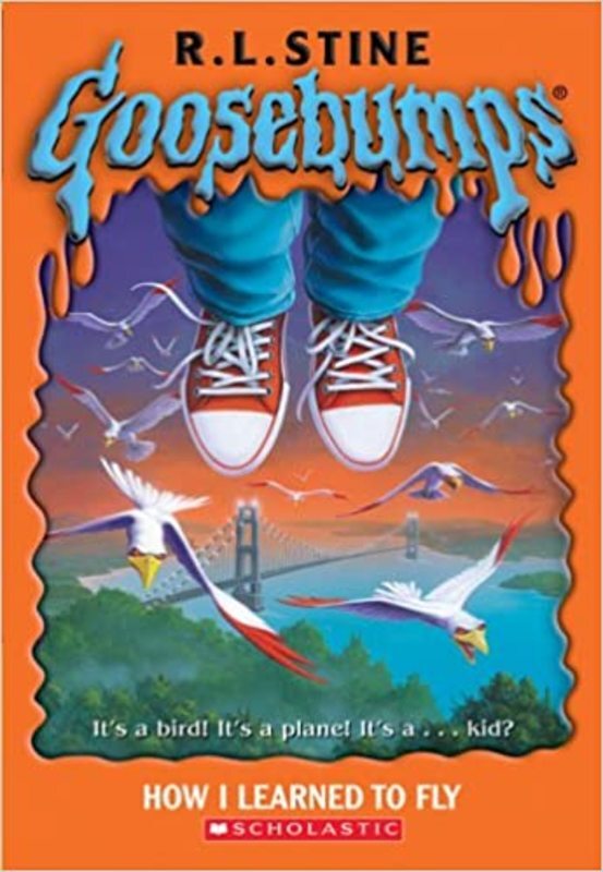 Book cover for "How I Learned To Fly" by R.L. Stine