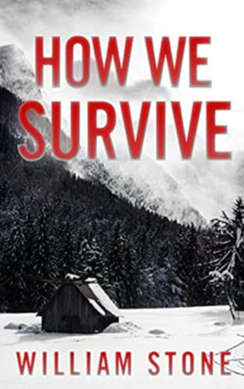 EMP Survival in a Powerless World book cover