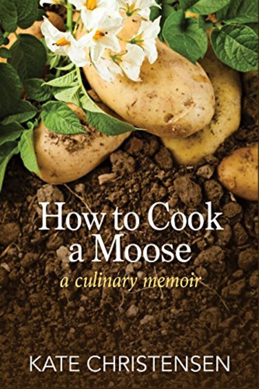 Kate Christensen book cover