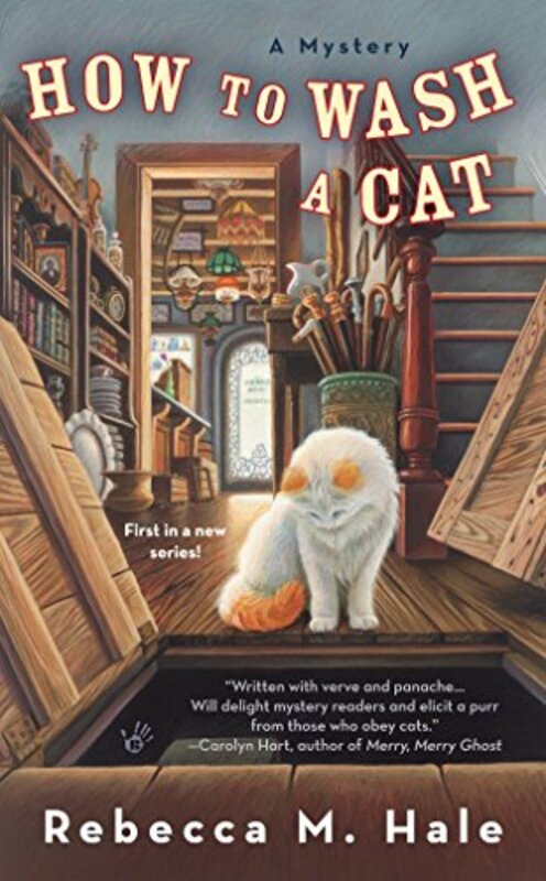 Book cover for "How to Wash a Cat" by Rebecca M Hale