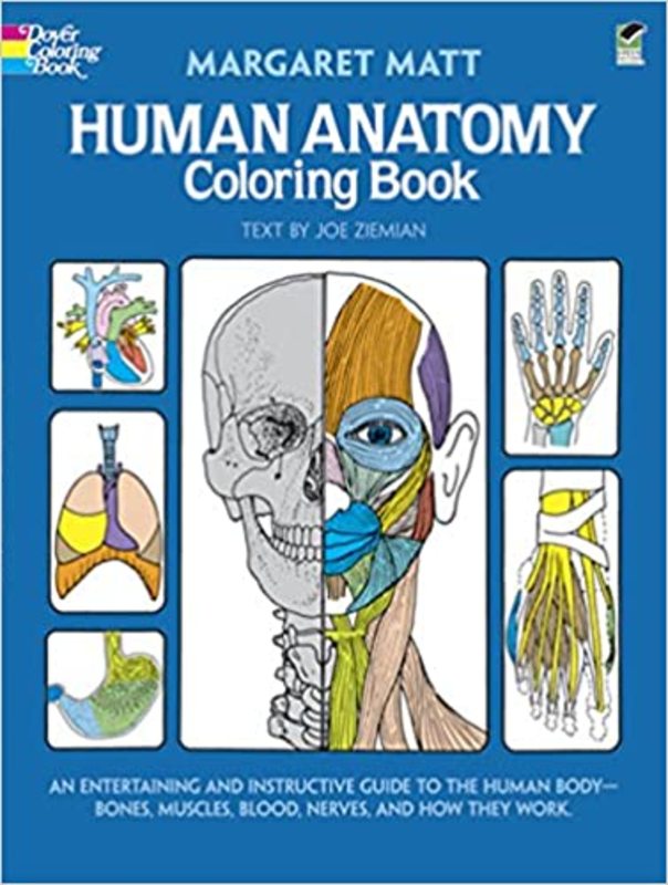 Book cover for "Human Anatomy Coloring Book" by Margaret Matt