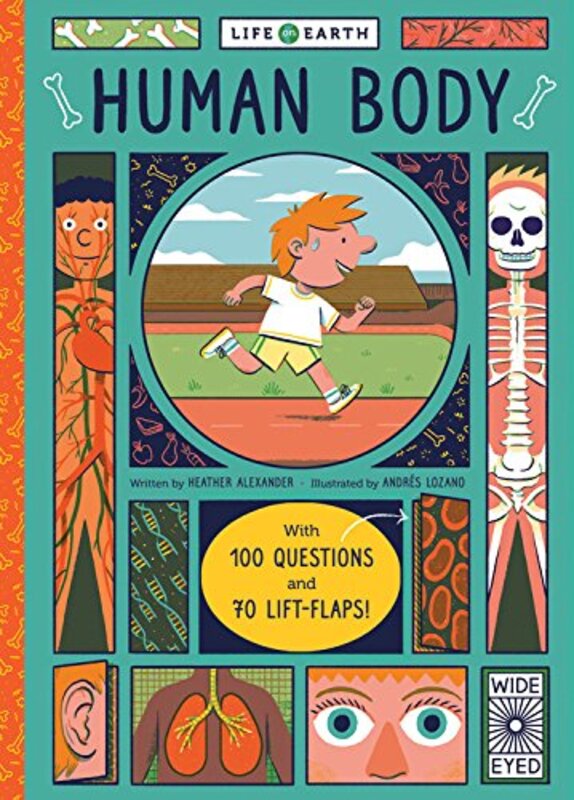 Book cover for "Human Body" by Heather Alexander