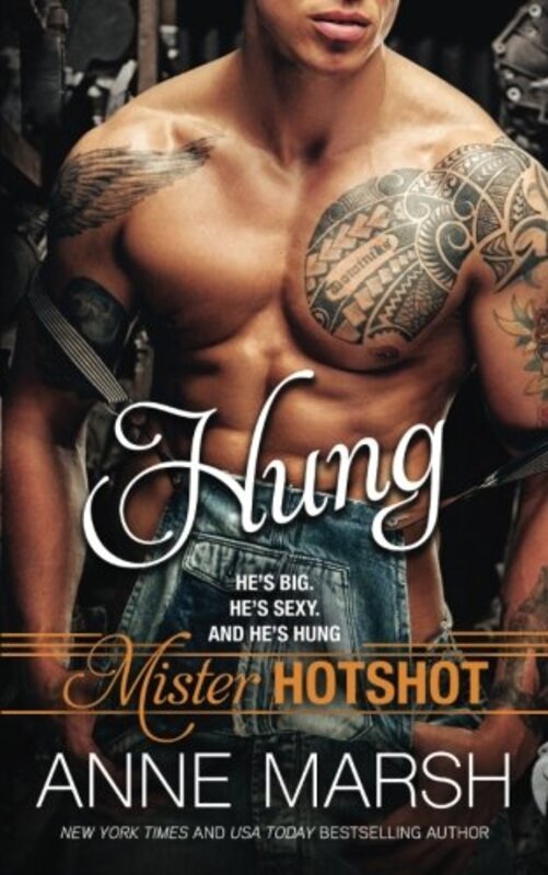 Book cover for "Hung" by Anne Marsh