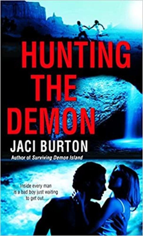 Demon Hunters book cover