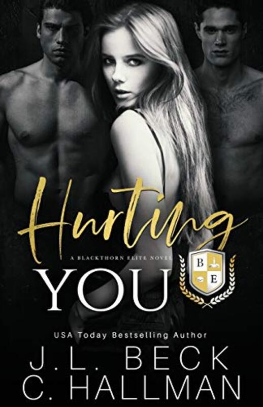 Book cover for "Hurting You" by JL Beck