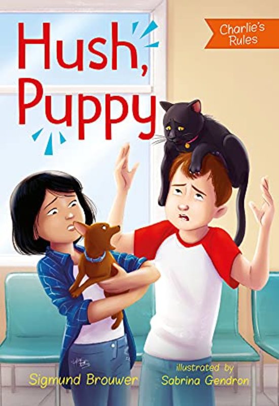 Sigmund Brouwer book cover