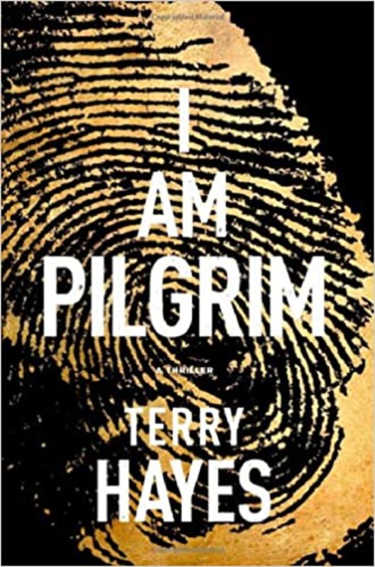 Terry Hayes book cover