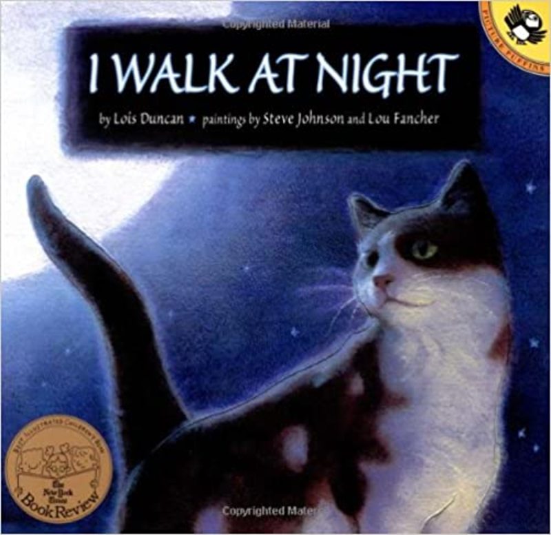 Book cover for "I Walk at Night" by Lois Duncan