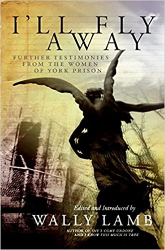 Book cover for "I'll Fly Away" by Wally Lamb